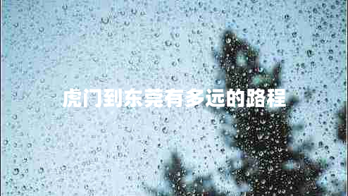 虎門(mén)到東莞有多遠的路程
