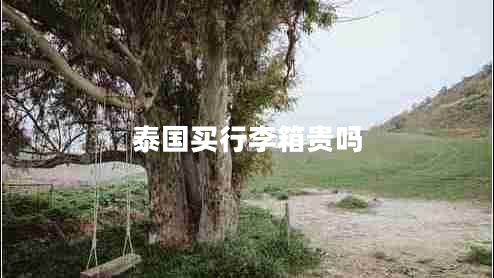 泰國買(mǎi)行李箱貴嗎