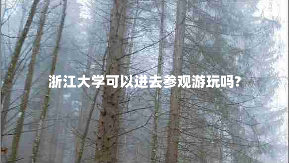 浙江大學(xué)可以進(jìn)去參觀(guān)游玩嗎?