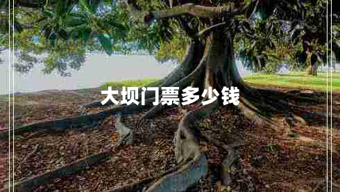 大壩門(mén)票多少錢(qián)