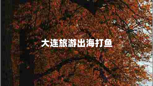 大連旅游出海打魚(yú)