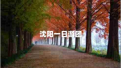 沈陽(yáng)一日游團