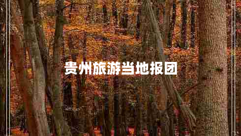 貴州旅游當地報團