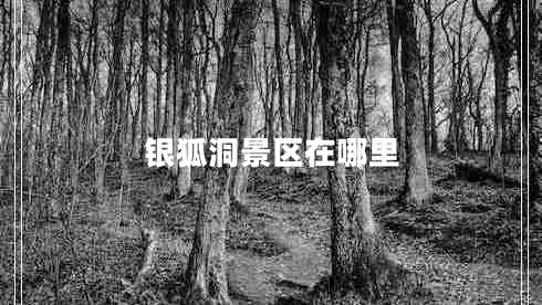 銀狐洞景區在哪里