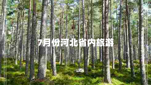 7月份河北省內旅游
