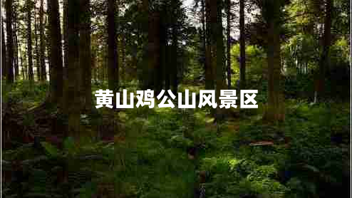 黃山雞公山風(fēng)景區