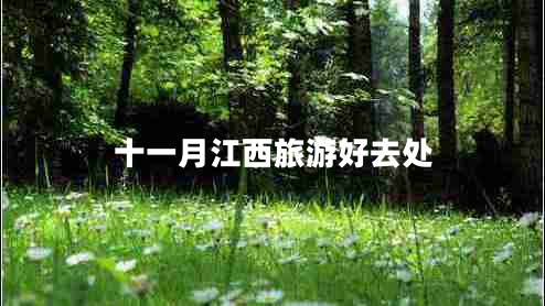 十一月江西旅游好去處