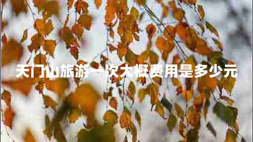 天門山旅游一次大概費(fèi)用是多少元
