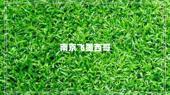 南京飛墨西哥