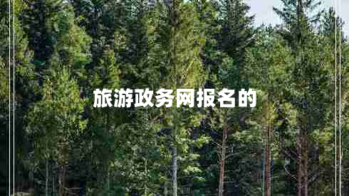 旅游政務網報名的