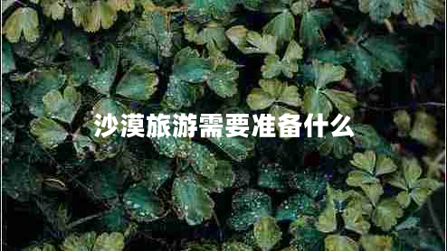 沙漠旅游需要準備什么