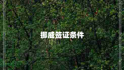 挪威簽證條件