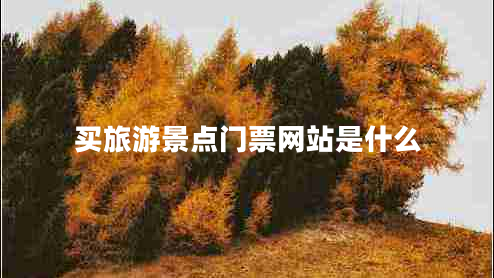 買(mǎi)旅游景點(diǎn)門(mén)票網(wǎng)站是什么