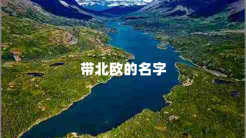帶北歐的名字