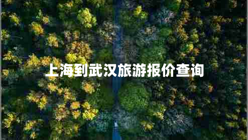 上海到武漢旅游報價(jià)查詢(xún)