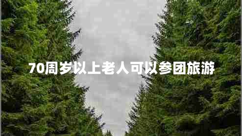 70周歲以上老人可以參團旅游