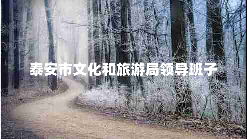 泰安市文化和旅游局領(lǐng)導班子
