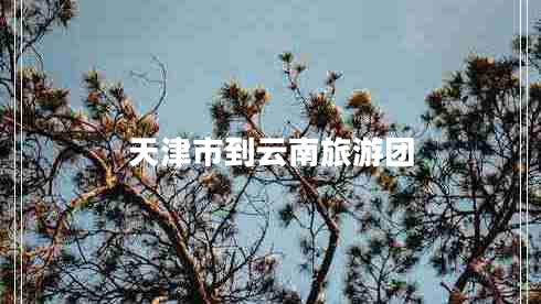 天津市到云南旅游團