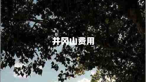 井岡山費用