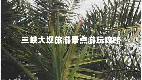 三峽大壩旅游景點(diǎn)游玩攻略