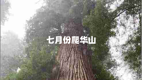 七月份爬華山