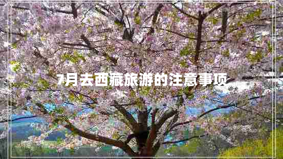 7月去西藏旅游的注意事項