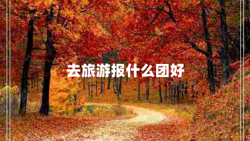 去旅游報什么團(tuán)好