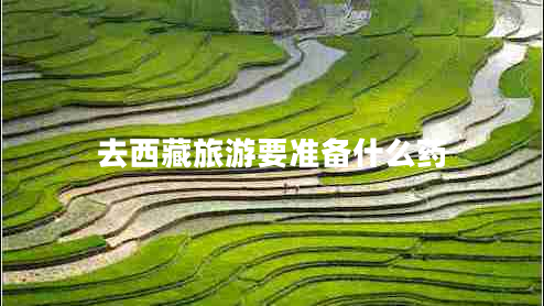 去西藏旅游要準備什么藥