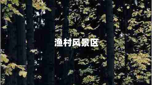 漁村風(fēng)景區