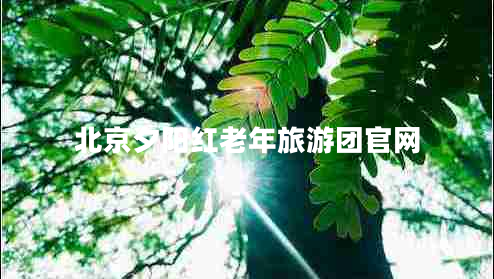 北京夕陽(yáng)紅老年旅游團官網(wǎng)