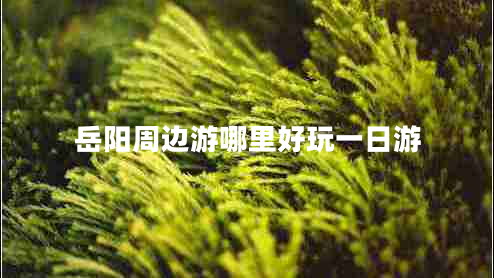 岳陽(yáng)周邊游哪里好玩一日游