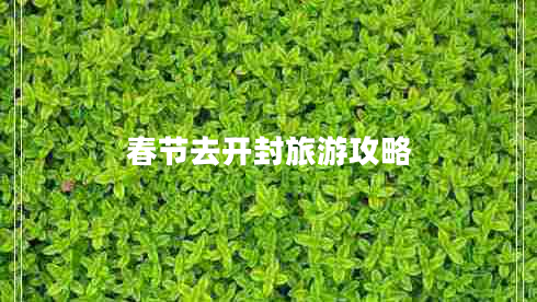 春節去開(kāi)封旅游攻略