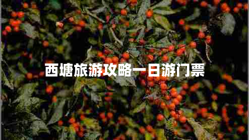 西塘旅游攻略一日游門(mén)票
