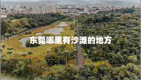 東莞哪里有沙灘的地方