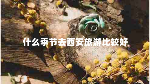 什么季節去西安旅游比較好