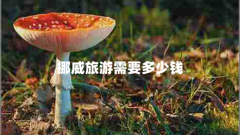 挪威旅游需要多少錢(qián)