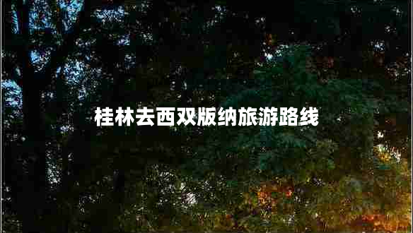 桂林去西雙版納旅游路線(xiàn)