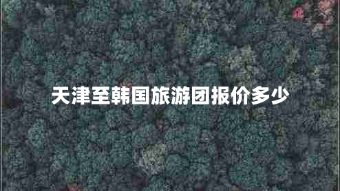 天津至韓國旅游團報價(jià)多少