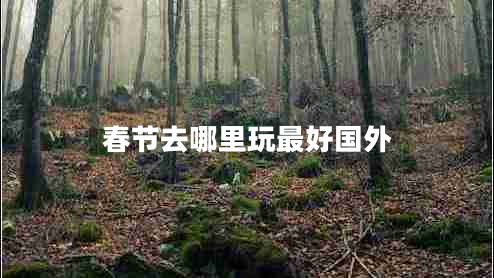 春節去哪里玩最好國外