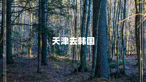 天津去韓國