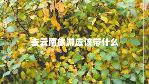去云南旅游應該帶什么