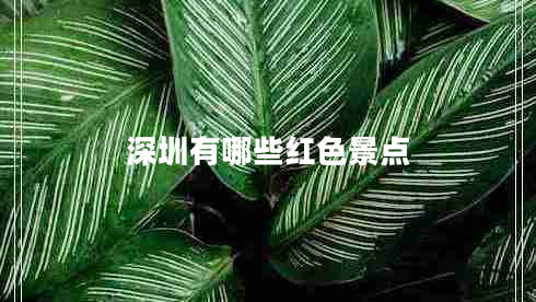 深圳有哪些紅色景點(diǎn)