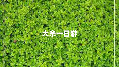 大余一日游