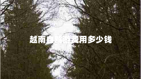 越南自駕游費用多少錢(qián)