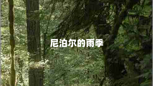 尼泊爾的雨季