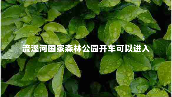 流溪河國家森林公園開(kāi)車(chē)可以進(jìn)入