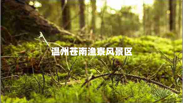 溫州蒼南漁寮風(fēng)景區
