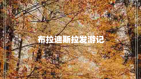布拉迪斯拉發(fā)游記