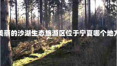美麗的沙湖生態(tài)旅游區位于寧夏哪個(gè)地方
