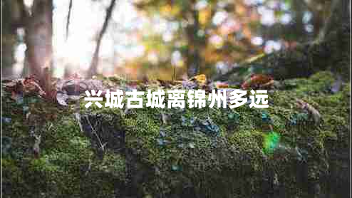 興城古城離錦州多遠
